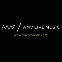 AMV Live Music Ltd. 1175500 Image 0