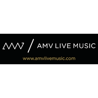 AMV Live Music Ltd. 1175500 Image 3