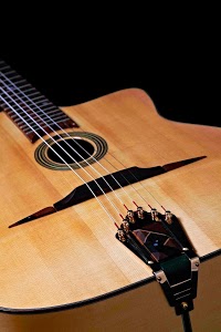 Alex Bishop Guitars 1173609 Image 6