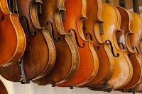 Anthony Nickolds Violins 1165050 Image 7