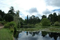 Bedgebury National Pinetum and Forest 1178351 Image 2
