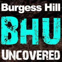 Burgess Hill Uncovered 1164272 Image 2