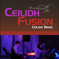Ceilidh Fusion   ceilidh band 1167725 Image 0