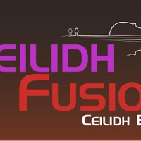 Ceilidh Fusion   ceilidh band 1167725 Image 2