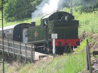 Dean Forest Railway 1167026 Image 9