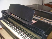 Goonlaze Pianos 1176881 Image 0