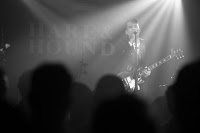 Hare and Hounds 1165284 Image 8