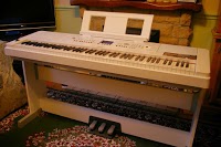 LEISURE PLAY KEYBOARD and PIANO LESSONS IN YOUR OWN HOME 1163670 Image 9