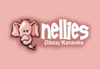 Nellies Disco and Karaoke 1163551 Image 5