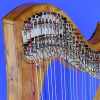Norris Harps 1169073 Image 0