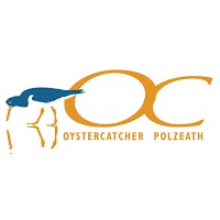 Oystercatcher Bar 1168364 Image 0