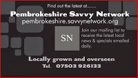 Pembrokeshire Savvy Network 1162771 Image 4