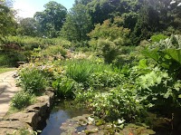 Sheffield Botanical Gardens 1175004 Image 5
