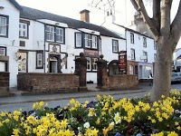 The Gloucester Arms 1161852 Image 0