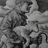 The Lamb   Shepherd Neame 1164213 Image 0