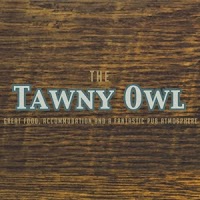 The Tawny Owl 1173136 Image 0