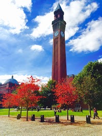 University of Birmingham 1164608 Image 3