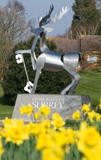 University of Surrey 1164883 Image 8