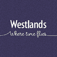 Westlands Yeovil 1176995 Image 0
