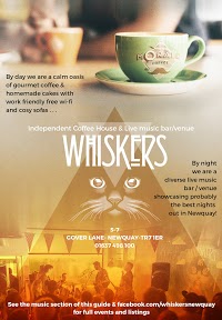 Whiskers Newquay 1168719 Image 2