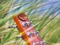 Anderwood Weissenborn Guitars 1162607 Image 0
