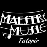 Maestro Music Tutoring Services 1166543 Image 5