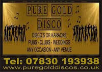 Pure Gold Discos 1169552 Image 0