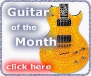Skylark Guitars Ltd 1177168 Image 0